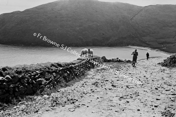 GROUP ON ROAD AT COAST